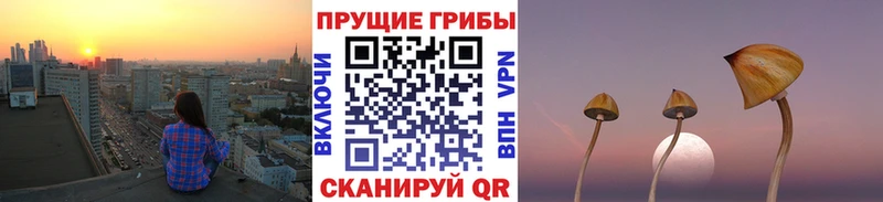 ссылка на мегу как войти  Бугульма  Галлюциногенные грибы мухоморы 