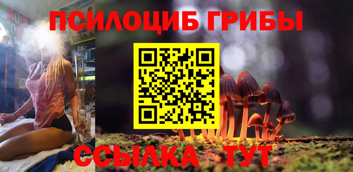 Галлюциногенные грибы Cubensis  Вход с VPN  Бугульма 