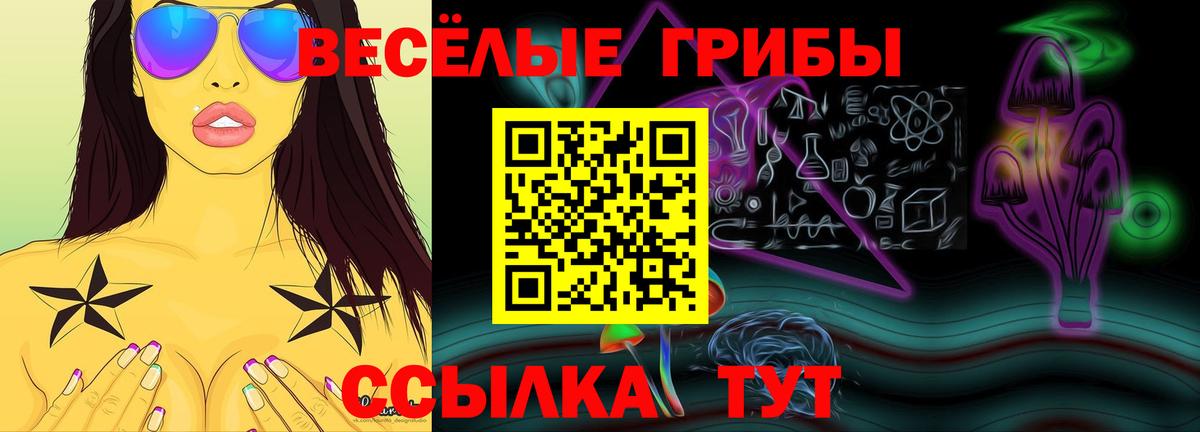 Псилоцибиновые грибы Magic Shrooms Бугульма