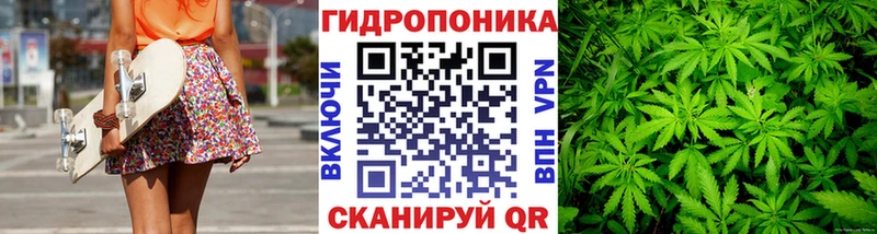 где можно купить Бугульма Конопля тримм